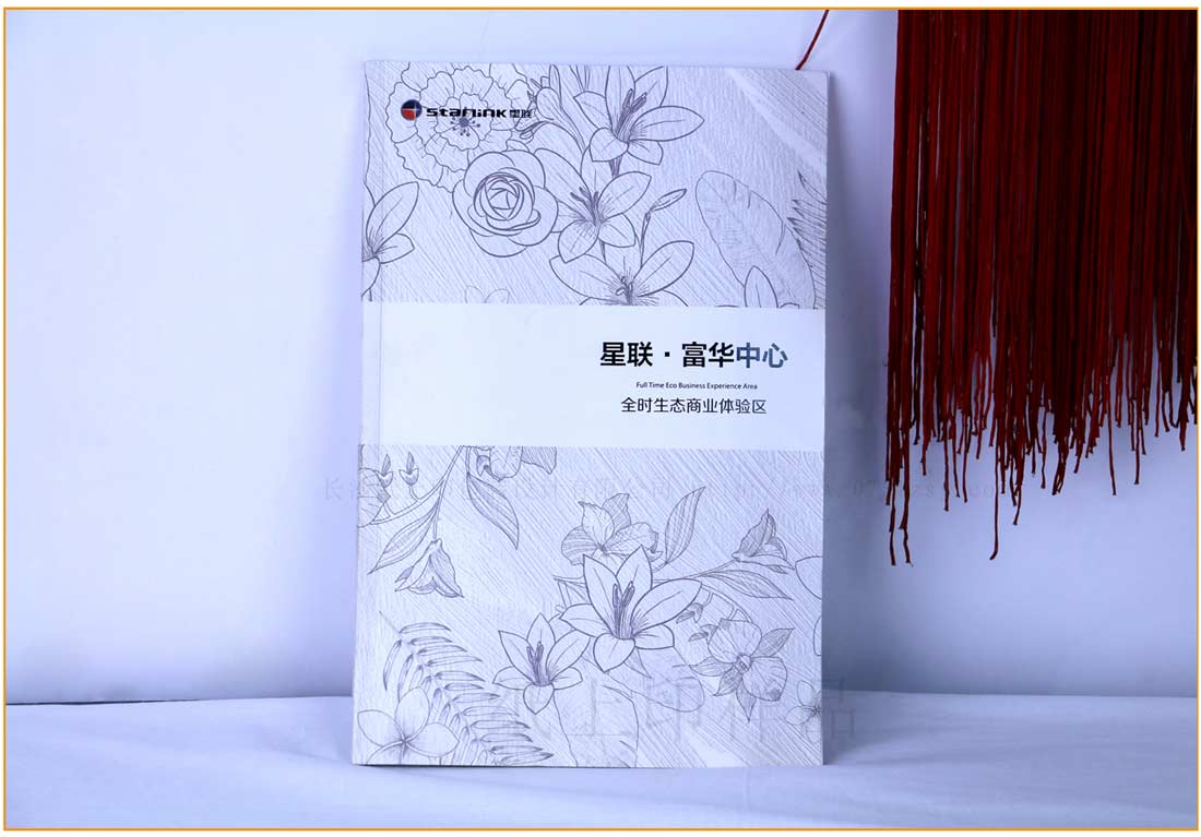 湖南企业宣传画册印刷厂